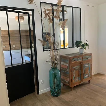 Les Dunes Villa Frontignan